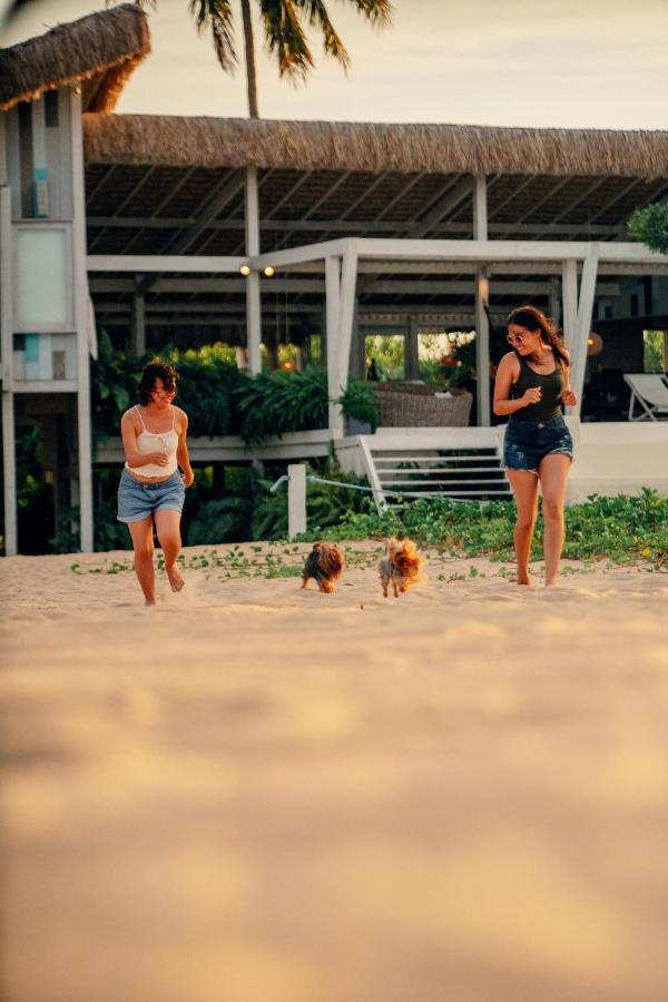 Amontada Beach Houses Moitas מראה חיצוני תמונה